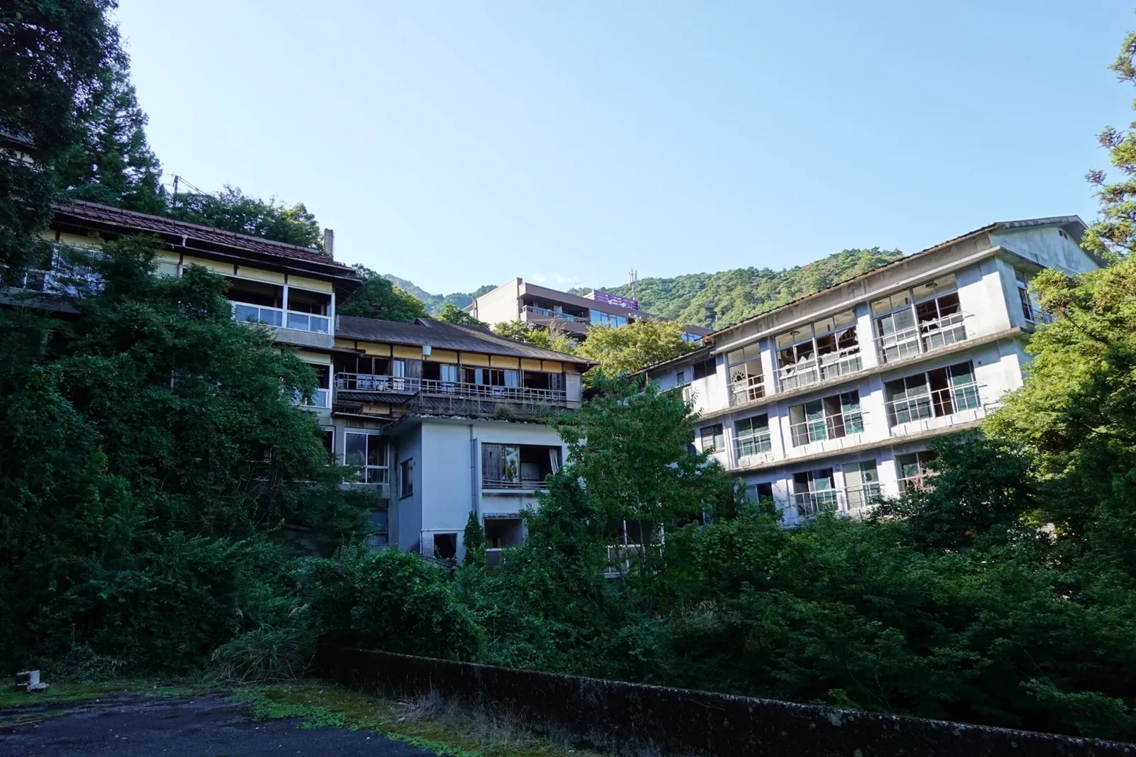 緑に囲まれた杉屋旅館の外観