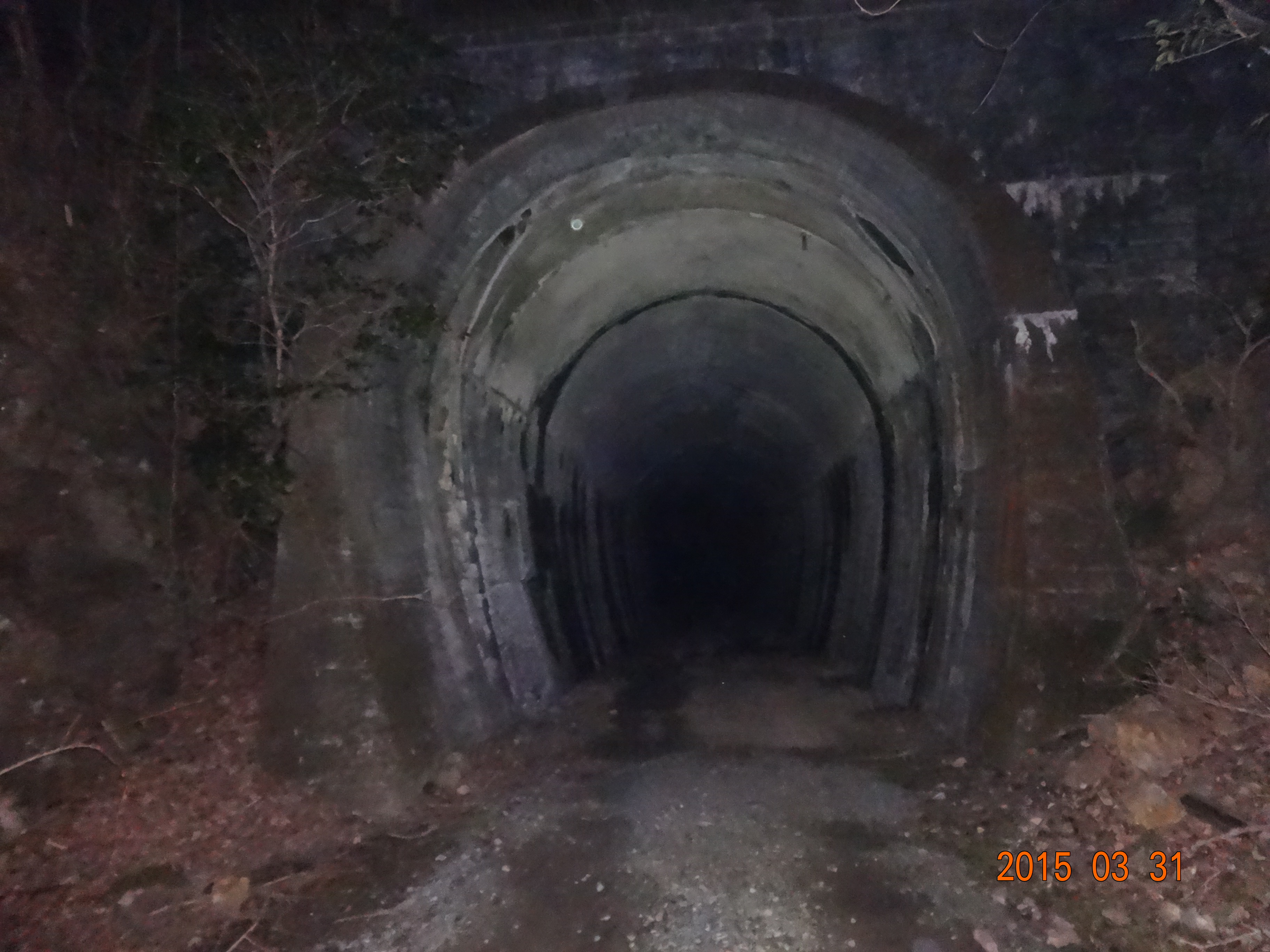 トンネル 事故 青山