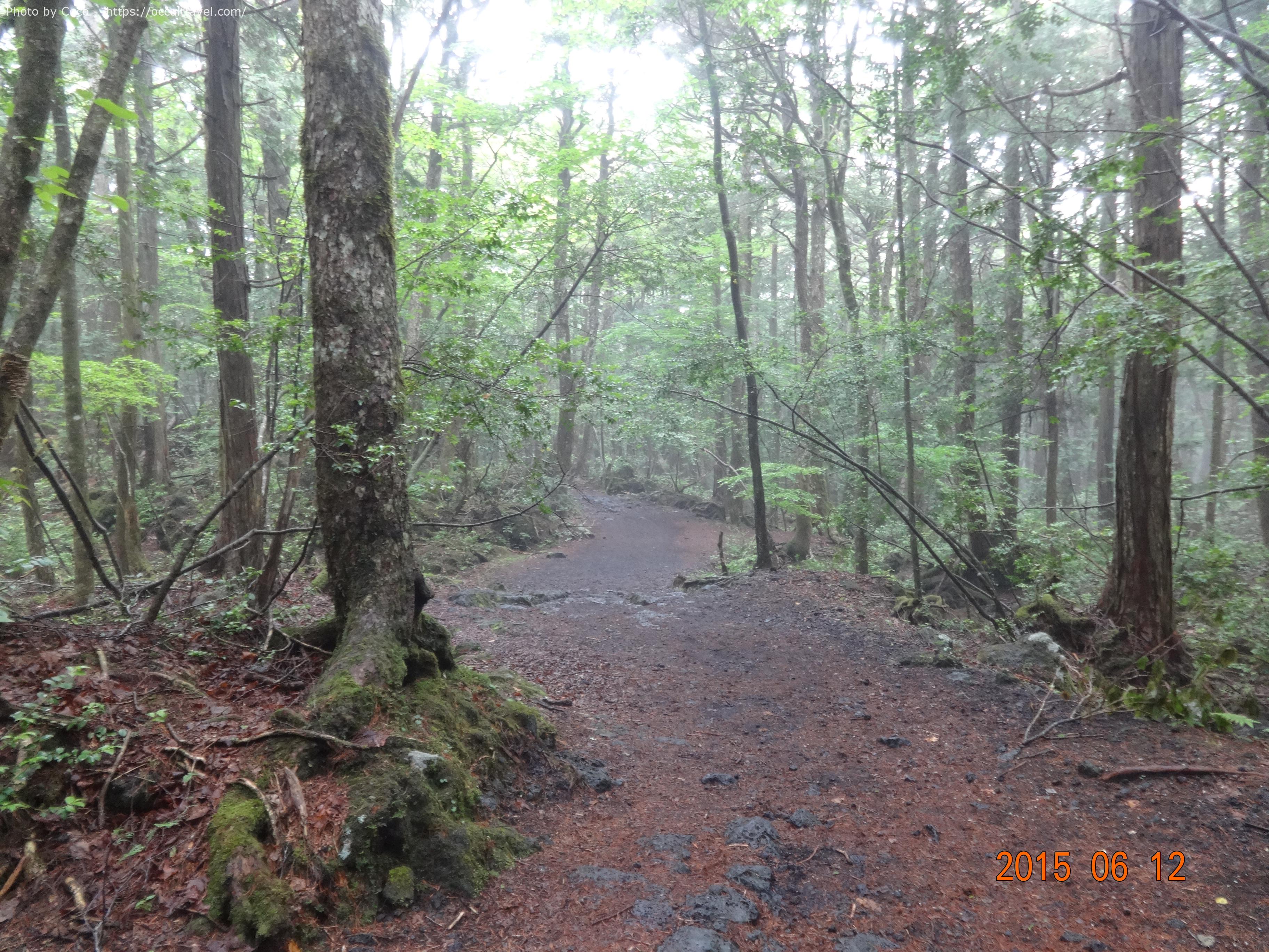 青木ヶ原樹海の遊歩道