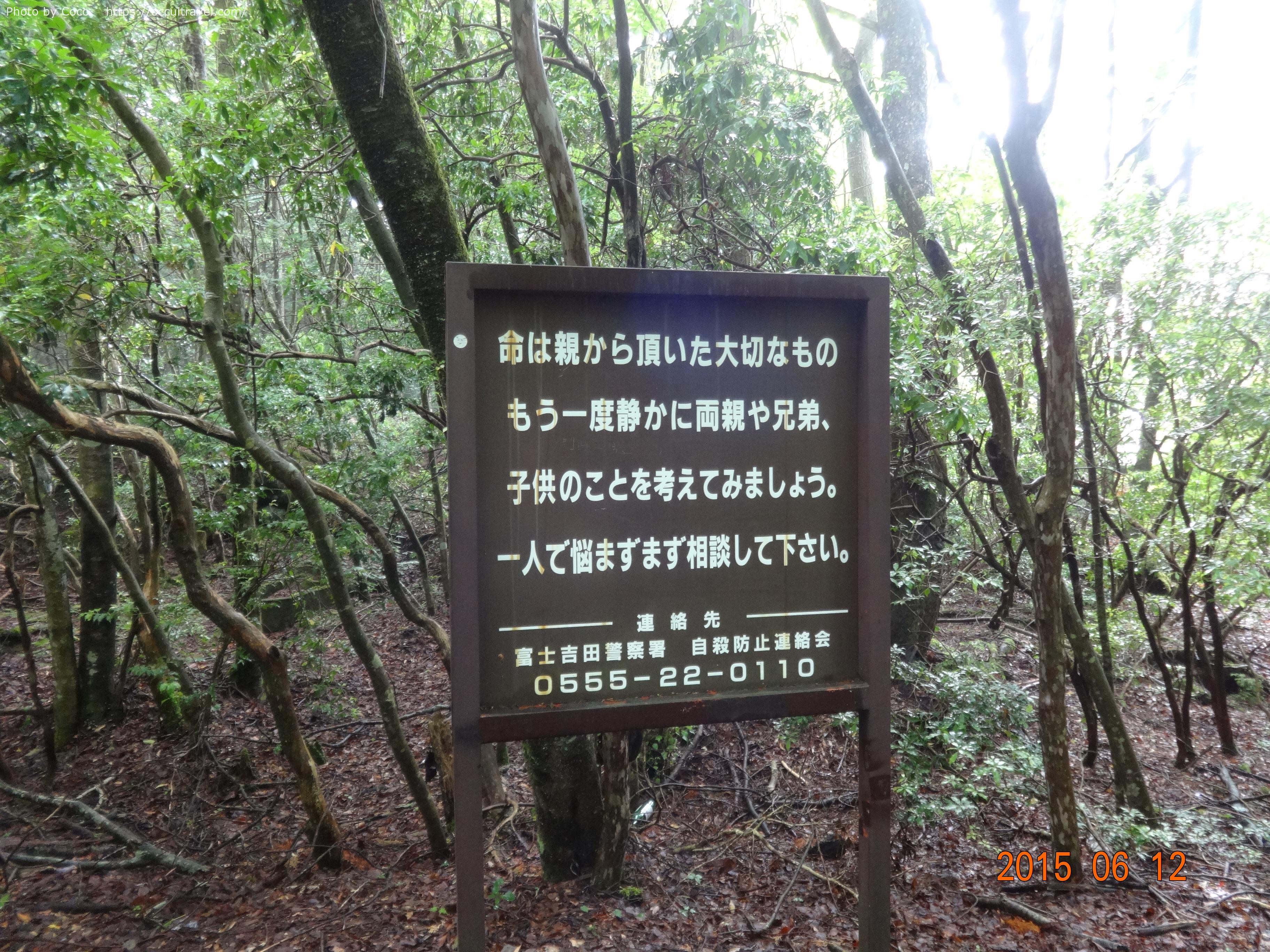 青木ヶ原樹海の遊歩道