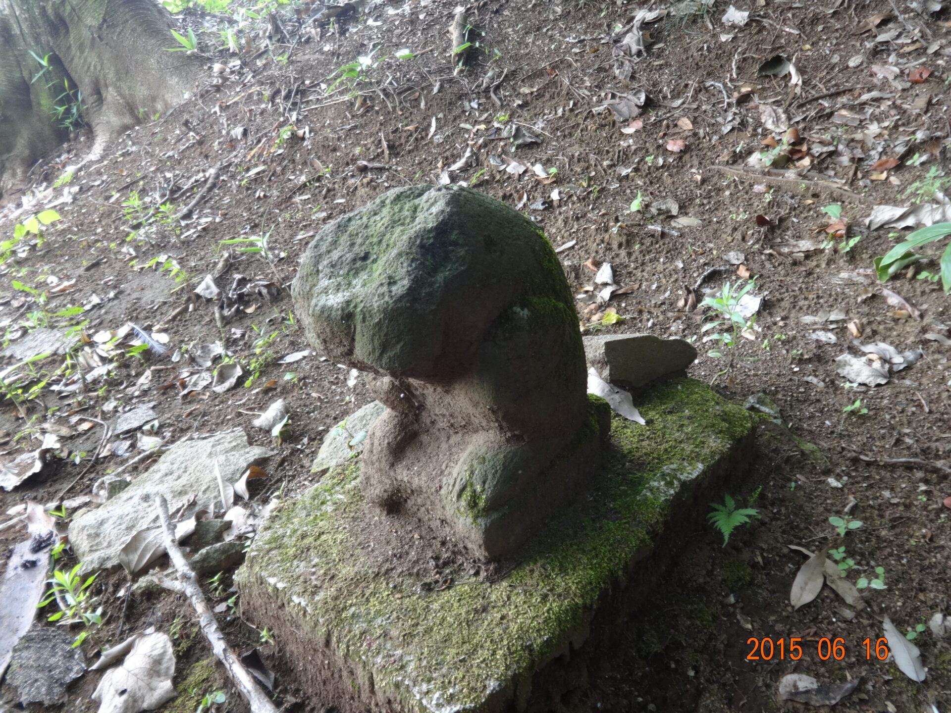 七里殺人の森・三崎稲荷大明神周辺
