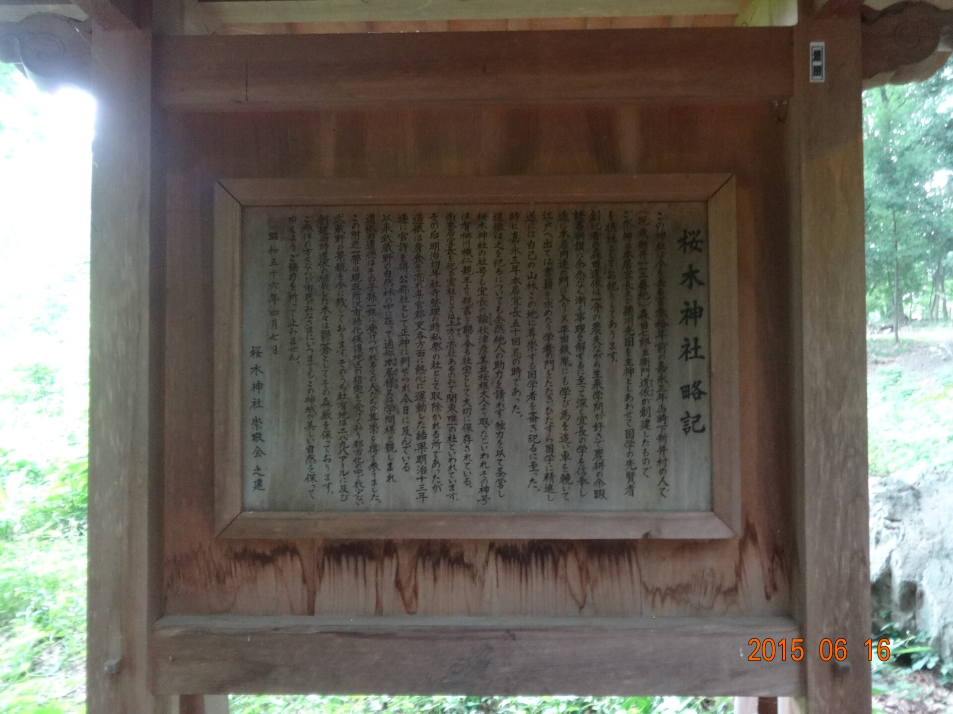 埼玉県所沢市の桜木神社・参道と境内