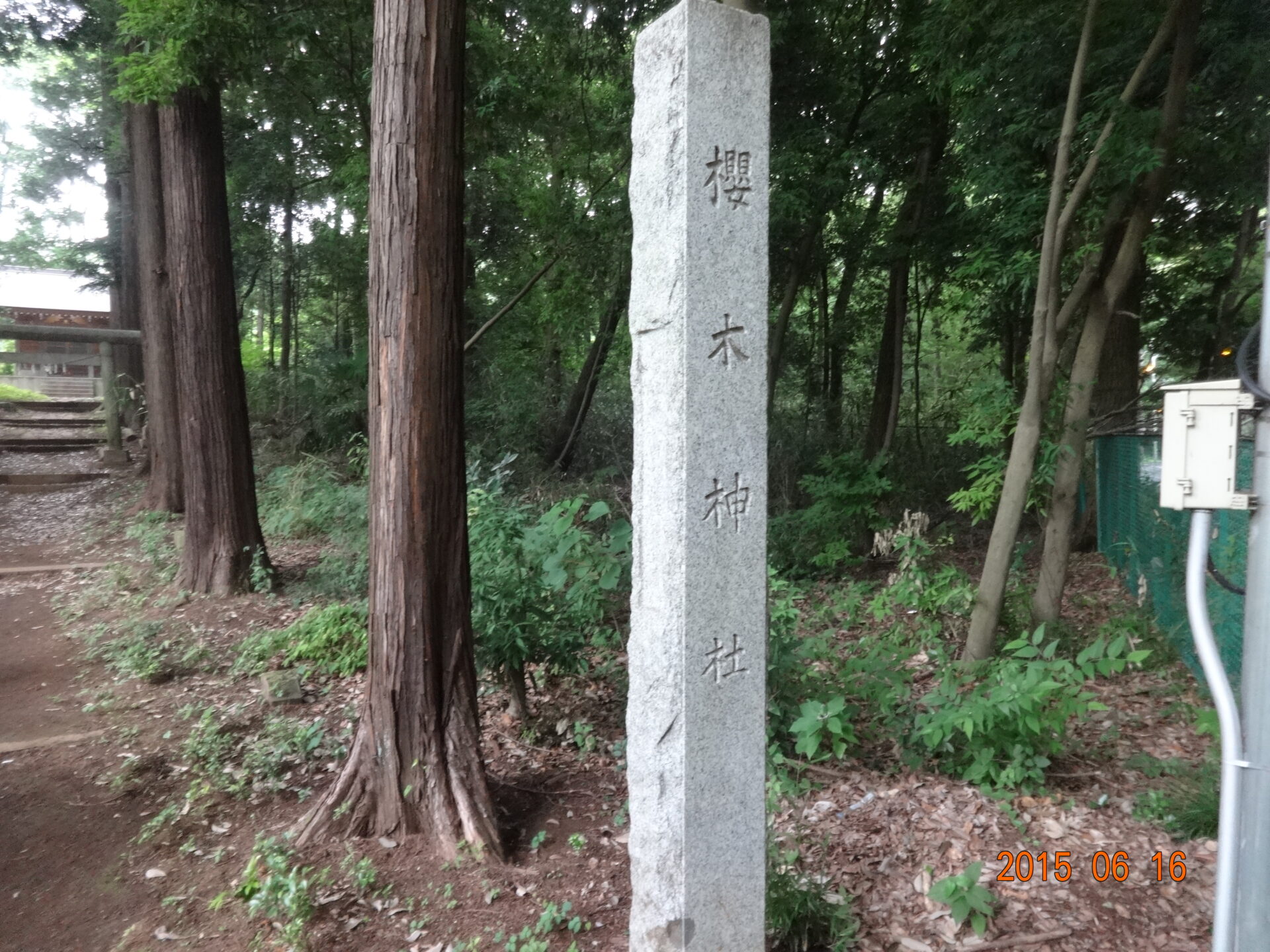 埼玉県所沢市の桜木神社・参道と境内