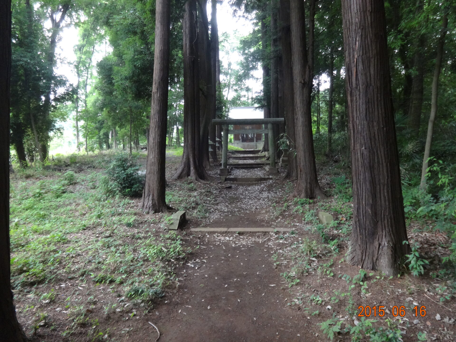 埼玉県所沢市の桜木神社・参道と境内