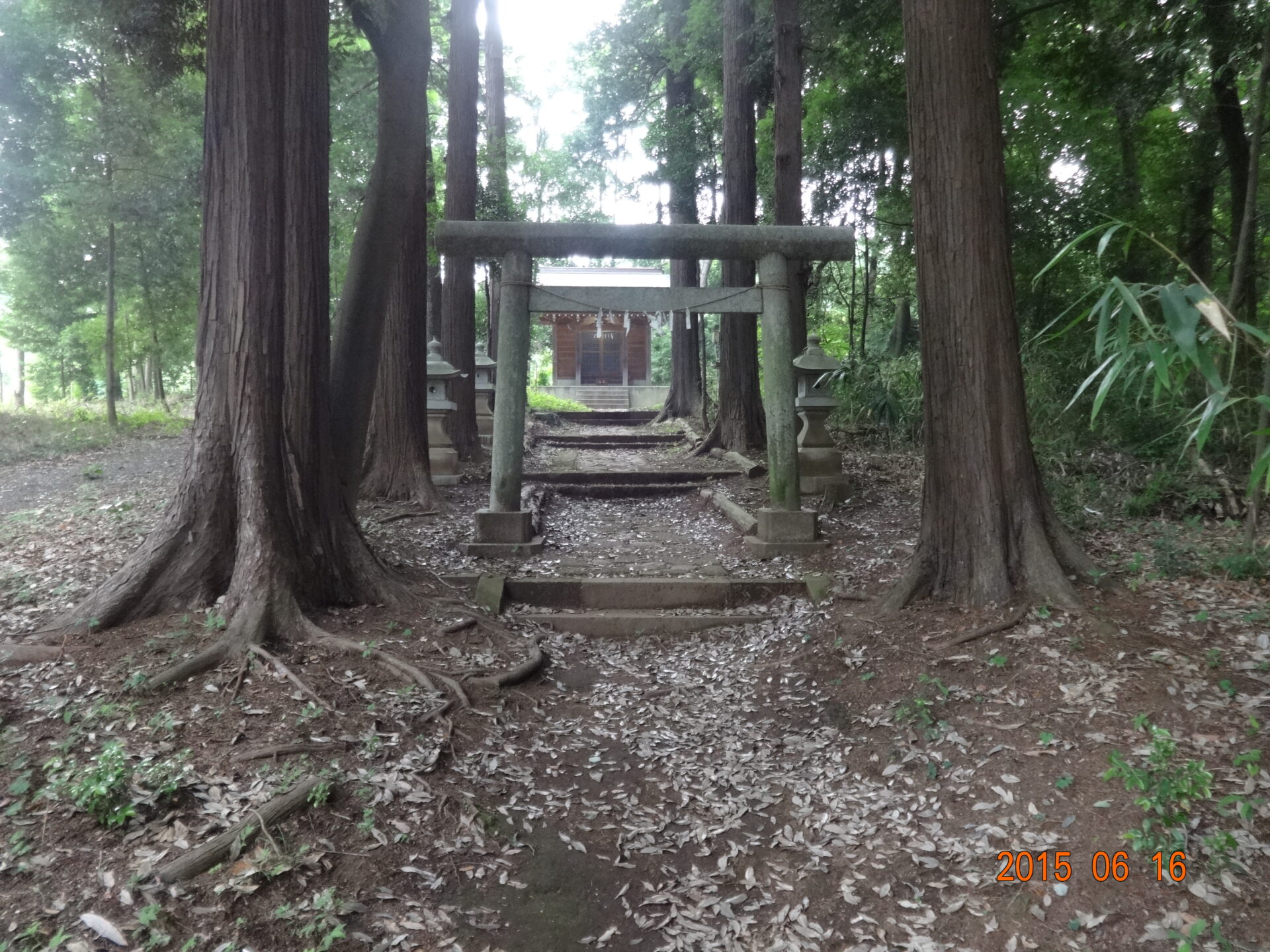 埼玉県所沢市の桜木神社・参道と境内