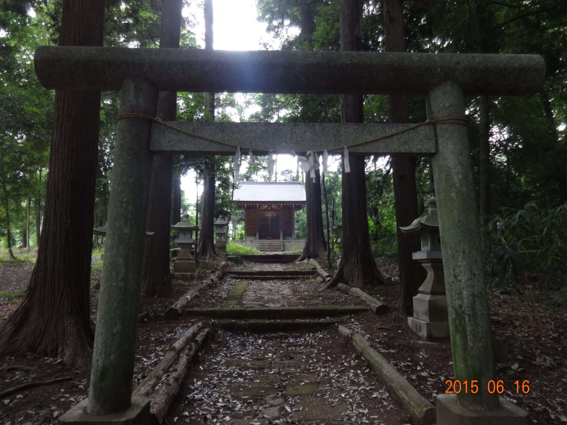 埼玉県所沢市の桜木神社・参道と境内