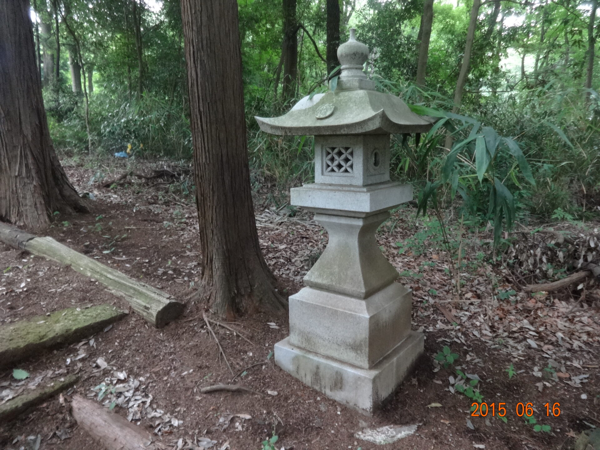 埼玉県所沢市の桜木神社・参道と境内