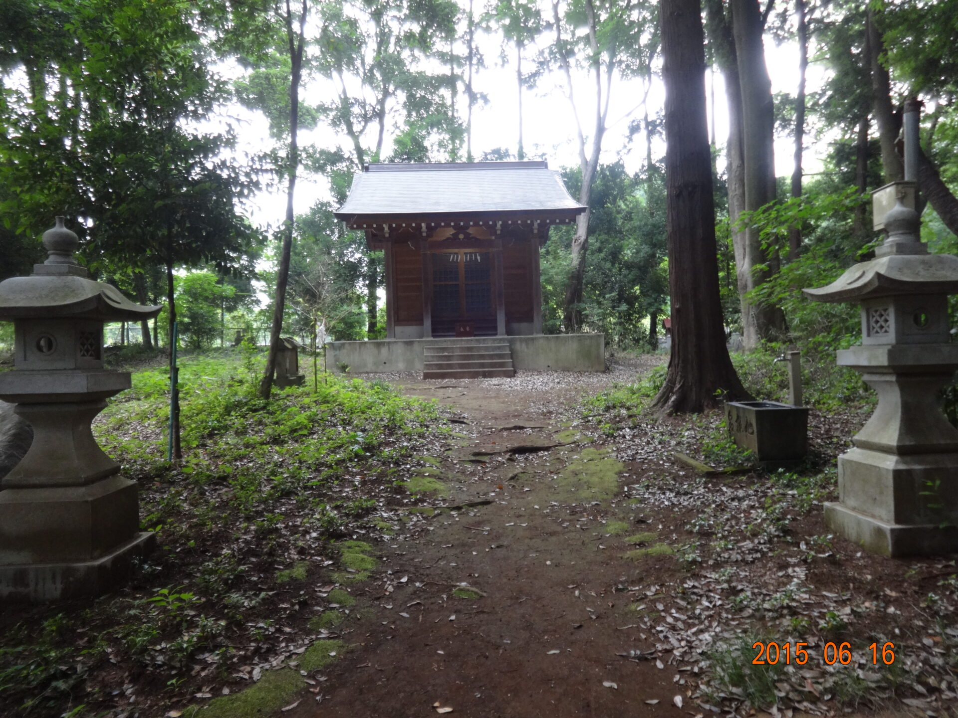 埼玉県所沢市の桜木神社・参道と境内