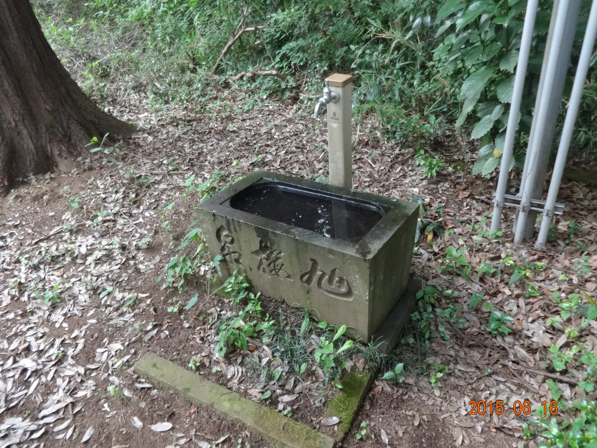 埼玉県所沢市の桜木神社・参道と境内