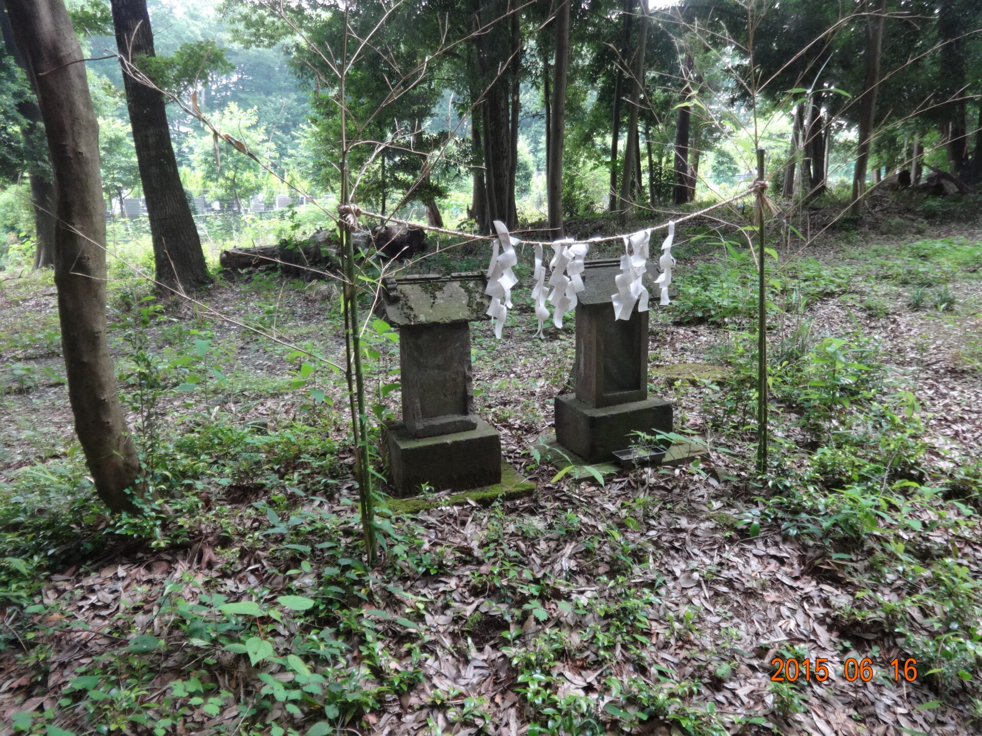 埼玉県所沢市の桜木神社・参道と境内