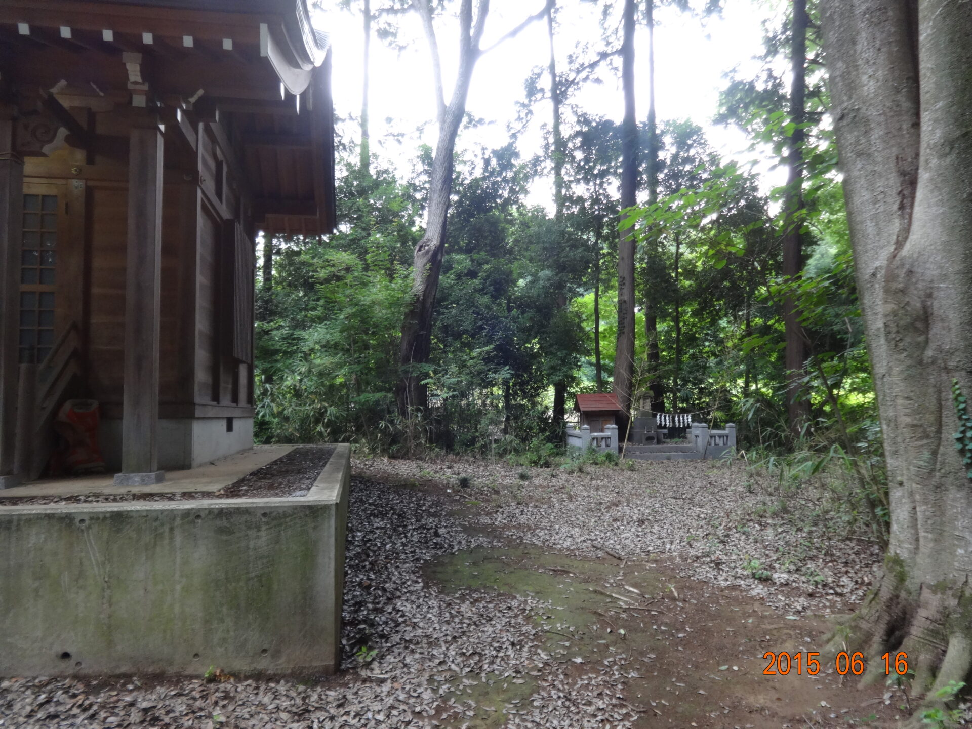 埼玉県所沢市の桜木神社・参道と境内