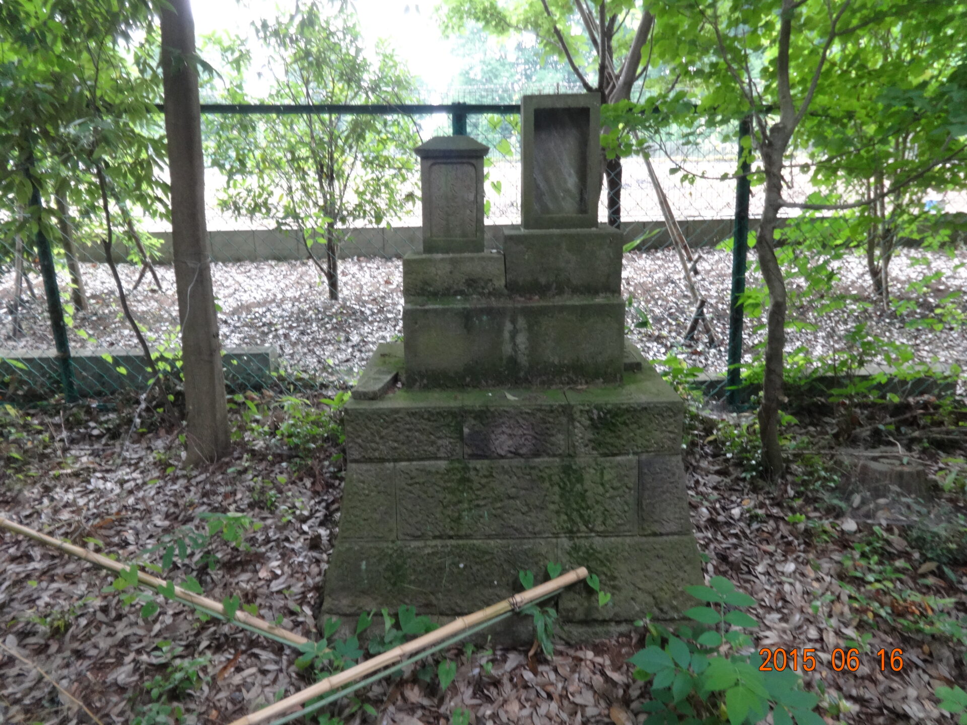 埼玉県所沢市の桜木神社・参道と境内