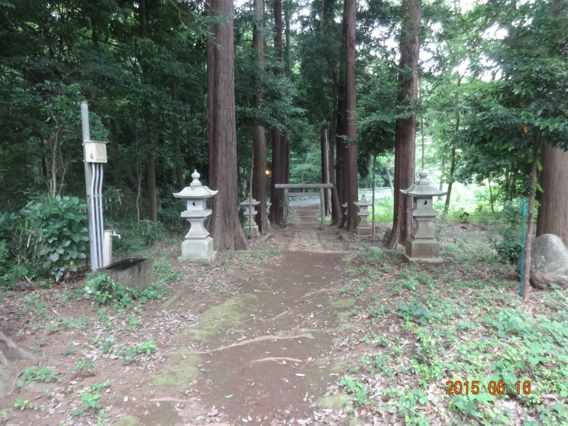 埼玉県所沢市の桜木神社・参道と境内