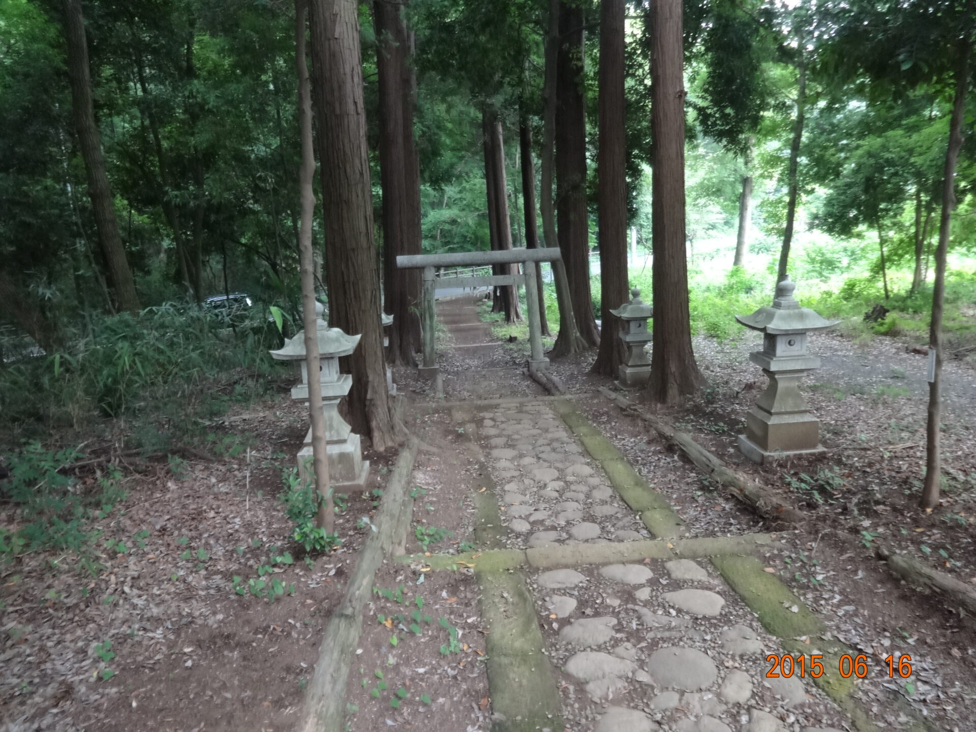 埼玉県所沢市の桜木神社・参道と境内