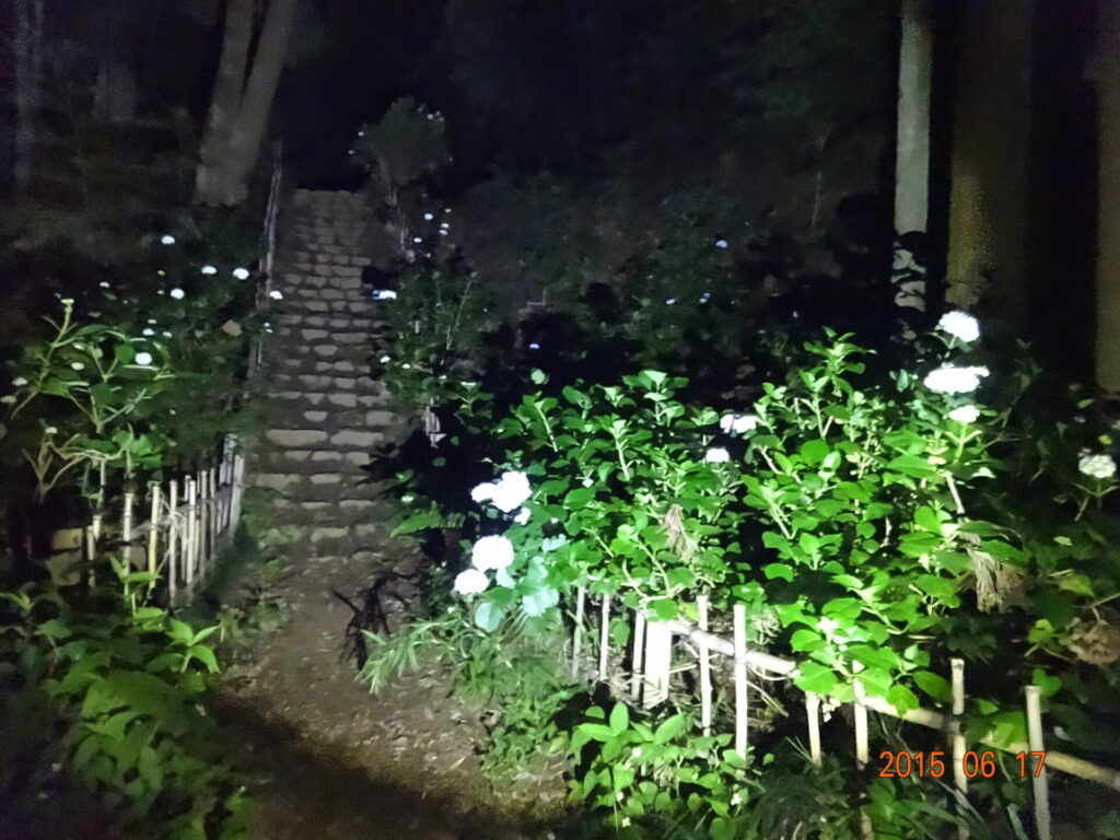 東京都八王子市・八王子城跡の現地写真