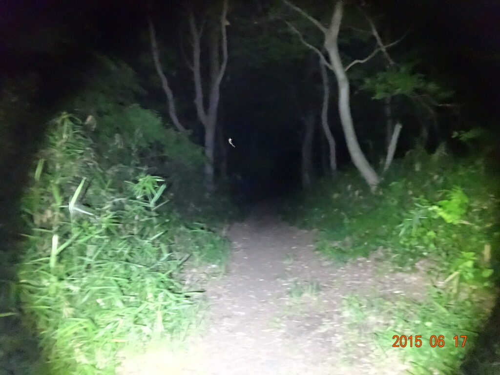 東京都八王子市・道了堂跡(大塚山公園)の現地写真